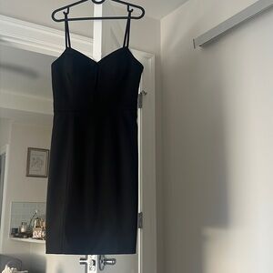 Alexander Wang LBD
